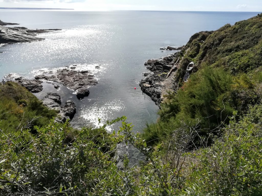 View looking down at Prussia Cove