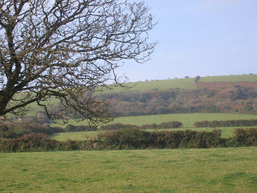 View from the Juliet Balcony at Little Tolmennor Barn