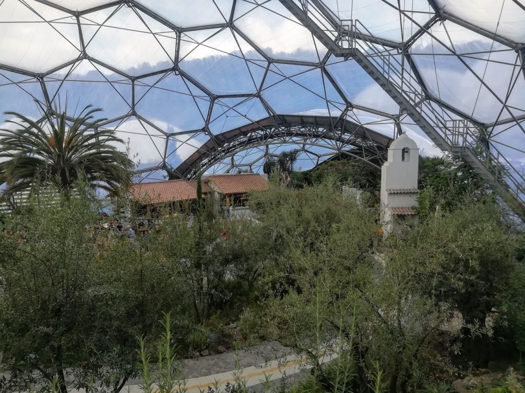 Inside one of the biodomes at the Eden Project