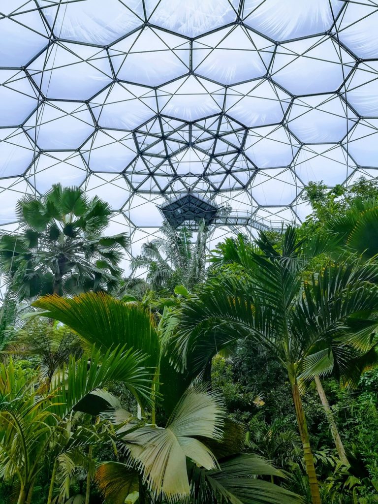 Inside One of the Biodomes at the Eden Project