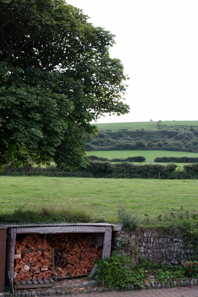 View past the log store